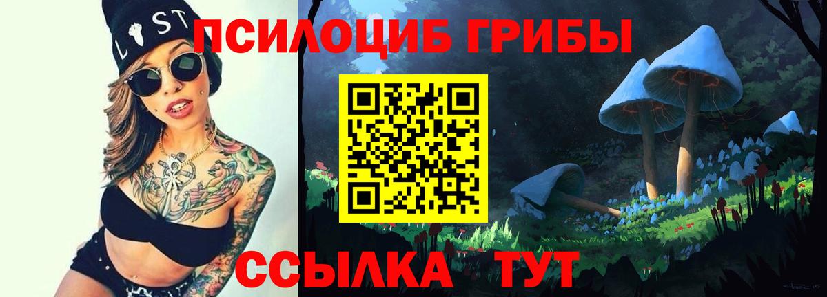 Елабуга  дарнет шоп  Вход с VPN  Псилоцибиновые грибы Psilocybine cubensis 